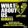 What About Us Remixes - EP album lyrics, reviews, download