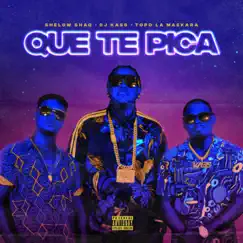Que Te Pica - Single by Dj Kass, Shelow Shaq & Topo La Maskara album reviews, ratings, credits