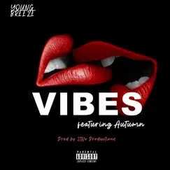 Vibes (feat. Autumn) - Single by Young Breeze album reviews, ratings, credits