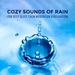 Heavy Rain (feat. Relaxation Zone) Song Lyrics