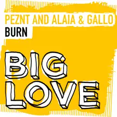 Burn - Single by PEZNT & Alaia & Gallo album reviews, ratings, credits