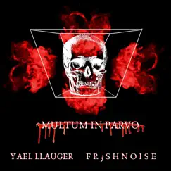 Multum in Parvo (feat. Yael Llauger) - Single by FR3SHNOISE album reviews, ratings, credits