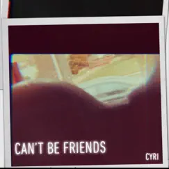 Can't Be Friends Song Lyrics