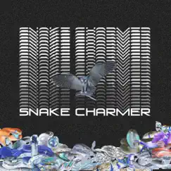 Snake Charmer - Single by Audiacide album reviews, ratings, credits