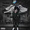 Never Understood album lyrics, reviews, download