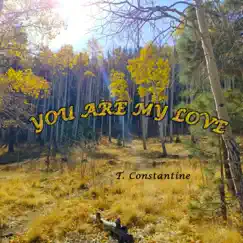 You Are My Love - Single by Tina C. album reviews, ratings, credits