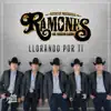 Llorando Por Ti - Single album lyrics, reviews, download