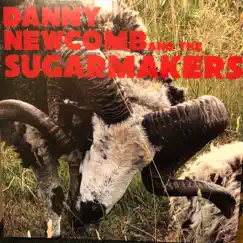 14 Days (feat. Mike McCready) - Single by Danny Newcomb & the Sugarmakers album reviews, ratings, credits