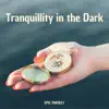 Tranquillity in the Dark - Epic Fantasy RPG Ambience & Instrumentals album lyrics, reviews, download
