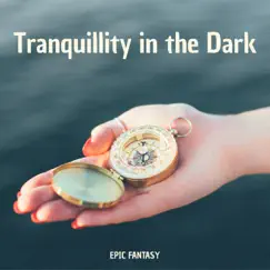 Tranquillity in the Dark - Epic Fantasy RPG Ambience & Instrumentals by Mystic RPG album reviews, ratings, credits