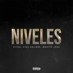 Niveles (with Martin Lora & King Kalibre) [feat. Js Producer] Song Lyrics