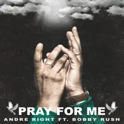 Pray for Me (feat. Bobby Rush) - Single by Andre Right album reviews, ratings, credits