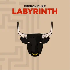 Labyrinth - Single by French Duke album reviews, ratings, credits