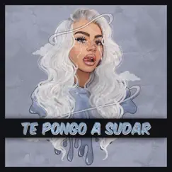 Te Pongo a Sudar (feat. Erre Flow) - Single by Draka Mx album reviews, ratings, credits
