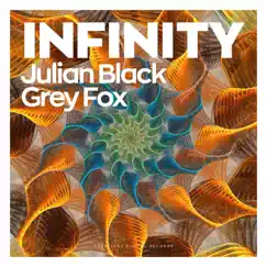 Infinity - Single by Julian Black & Grey Fox album reviews, ratings, credits