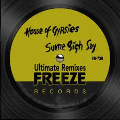 Sume Sigh Say (Ultimate Remixes) - EP by Todd Terry & House of Gypsies album reviews, ratings, credits