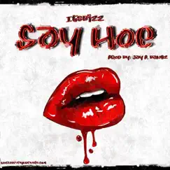 Say Hoe - Single by ItsBizz album reviews, ratings, credits