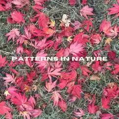Patterns In Nature - EP by Nigel Hayes album reviews, ratings, credits