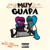 MUY GUAPA (feat. YG Saull, Ryu, the Runner & éoTGL) - Single album lyrics, reviews, download