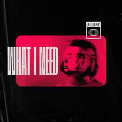 What I Need (feat. Anna Solodky) Song Lyrics