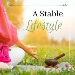 A Stable Lifestyle by Habib Makeba album reviews, ratings, credits