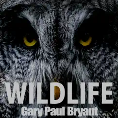 WildLife (Remastered) - Single by Gary Paul Bryant album reviews, ratings, credits
