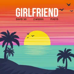 Girlfriend (feat. P.Keys & Z.Woods) - Single by David So album reviews, ratings, credits