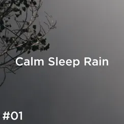#01 Calm Sleep Rain by Rain Sounds & Rain for Deep Sleep album reviews, ratings, credits