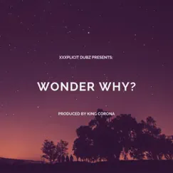 Wonder Why? - Single by Dubz album reviews, ratings, credits