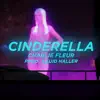 Cinderella - Single album lyrics, reviews, download