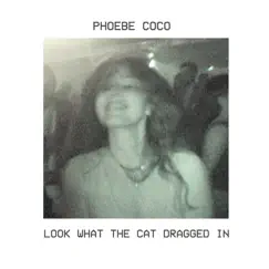 Look What the Cat Dragged In - Single by Phoebe Coco album reviews, ratings, credits