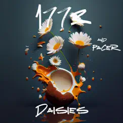 Daisies (feat. DJMIKEC) - Single by 1773 & Pacer album reviews, ratings, credits