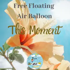 This Moment - Single by Free Floating Air Balloon album reviews, ratings, credits