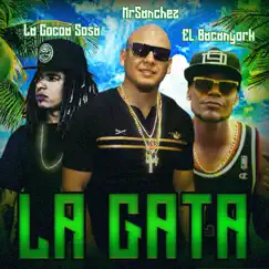 La Gata - Single by MrSanchez, el Bacanyork & la Cocoa Sosa album reviews, ratings, credits