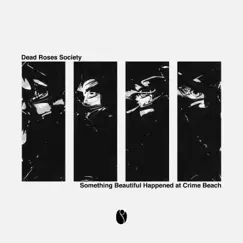 Something Beautiful Happened at Crime Beach - Single by Dead Roses Society album reviews, ratings, credits
