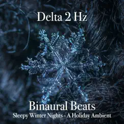 Sleepy Winter Nights: A Holiday Ambient by Binaural Beats album reviews, ratings, credits