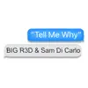 Tell Me Why (feat. Sam Di Carlo) - Single album lyrics, reviews, download