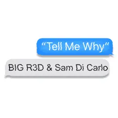 Tell Me Why (feat. Sam Di Carlo) - Single by BIG R3D album reviews, ratings, credits