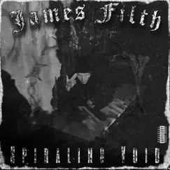 Spiraling Void - Single by James Filth album reviews, ratings, credits