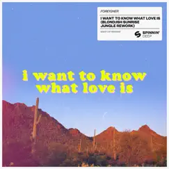 I Want To Know What Love Is (BLOND:ISH Sunrise Jungle Rework) - Single album download