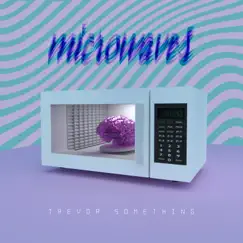Microwaves by Trevor Something album reviews, ratings, credits