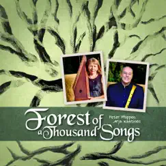 Forest of a Thousand Songs by Peter Phippen & Arja Kastinen album reviews, ratings, credits