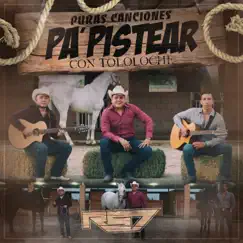 Puras Canciones Pa' Pistear Con Tololoche by Grupo RS7 album reviews, ratings, credits