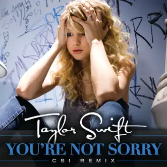 You're Not Sorry (CSI Remix) - Single by Taylor Swift album download
