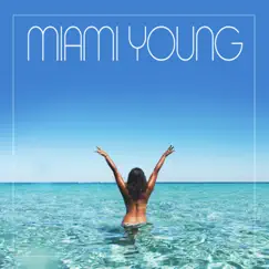 We Came To Party by Miami Young album reviews, ratings, credits