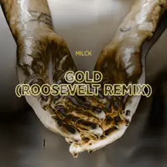 Gold (Roosevelt Remix) Song Lyrics