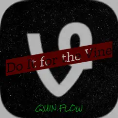 Do It for the Vine - Single by Quin Flow album reviews, ratings, credits