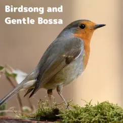 Birdsong and Gentle Bossa by Natural Sonic album reviews, ratings, credits