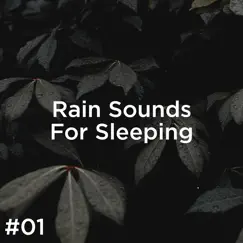 #01 Rain Sounds for Sleeping by Rain Sounds & Rain for Deep Sleep album reviews, ratings, credits