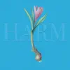 Harm - Single album lyrics, reviews, download